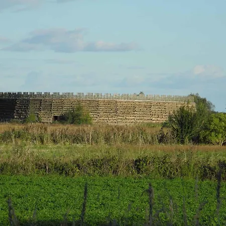 In Spreewald 2618 * Vetschau/Spreewald