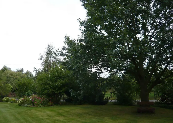 In Spreewald 2618 * Vetschau